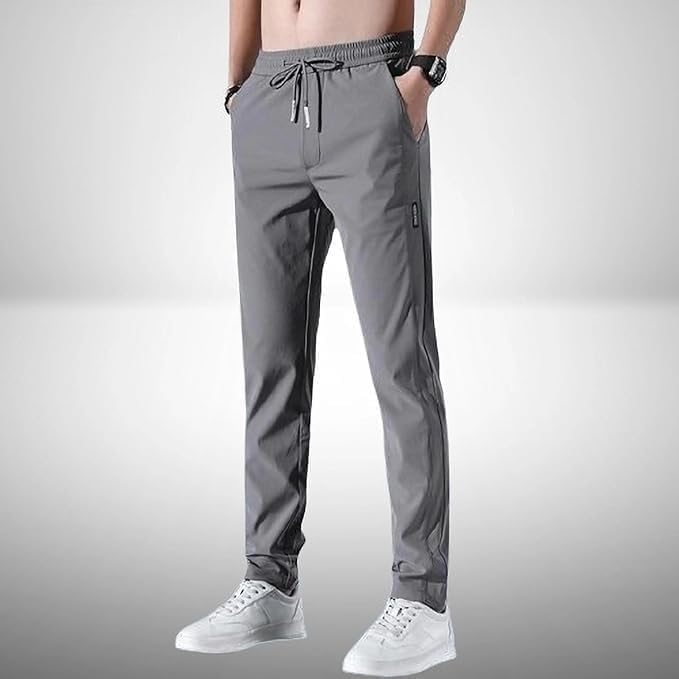 19733